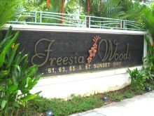 Freesia Woods #6198